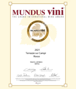 mundus-vini-1000x1000 mundus-vini-1000x1000