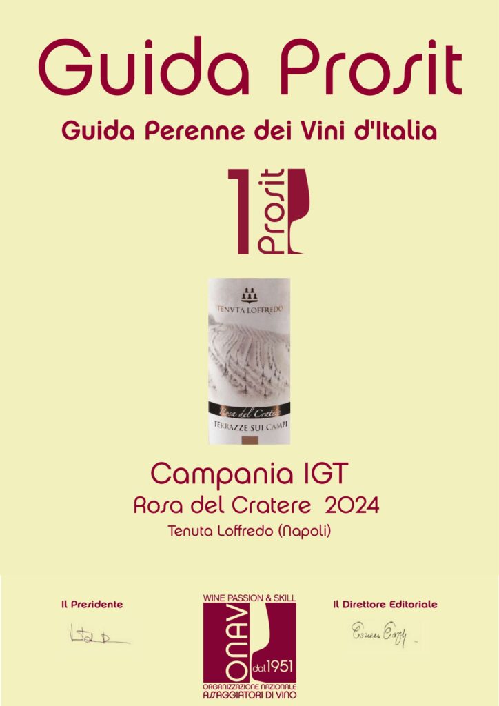 Rosa del Cratere Igt Campania Gradazione alcolica 12% Vol - immagine 2