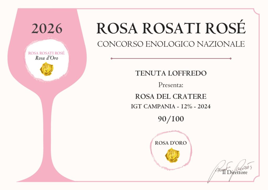 Rosa del Cratere Igt Campania Gradazione alcolica 12% Vol - immagine 5