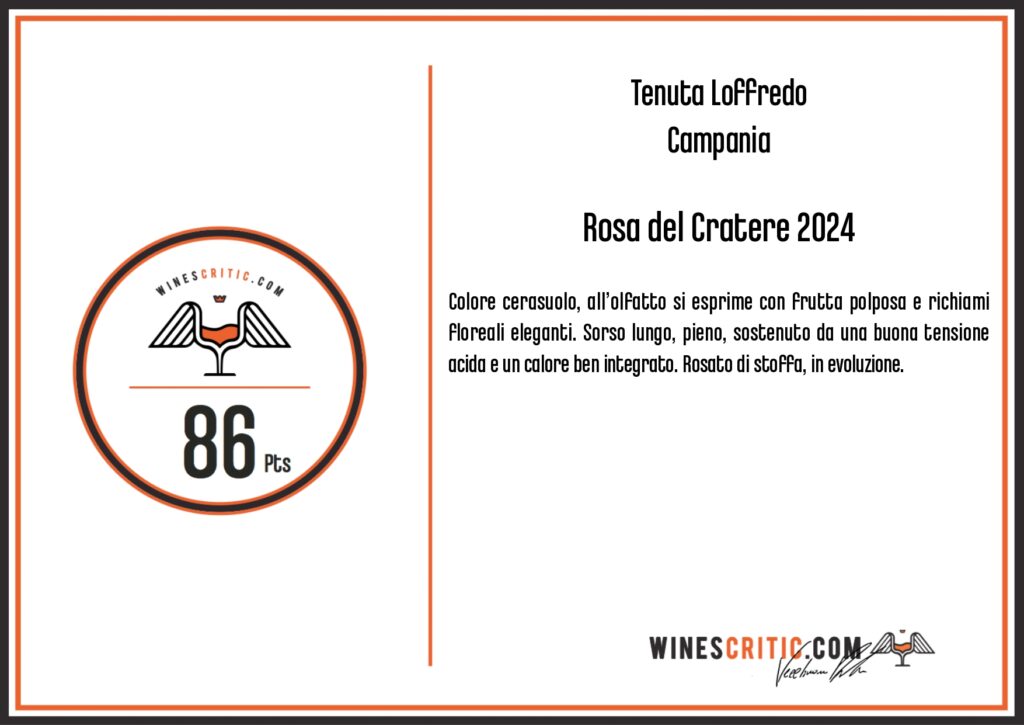 Rosa del Cratere Igt Campania Gradazione alcolica 12% Vol - immagine 4