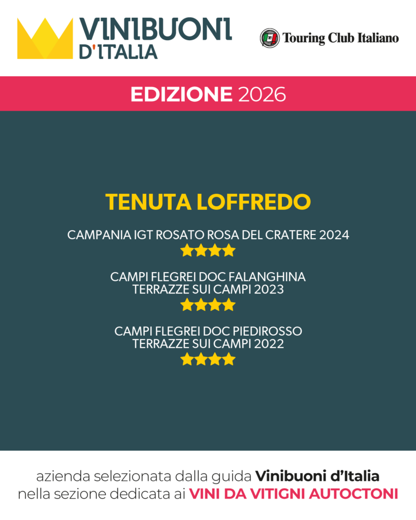 Rosa del Cratere Igt Campania Gradazione alcolica 12% Vol - immagine 3